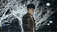 12月的奇迹