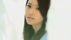 收留
