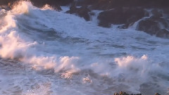 太平洋海岸