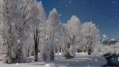 Softly Falls The Snow