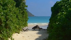 Beautiful Hawaii