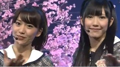 桜の木になろう