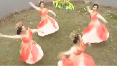 伴君常开花一朵