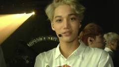 Show Champion