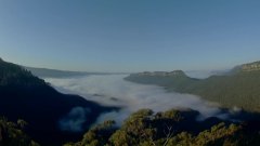 Wild Australia The Edge