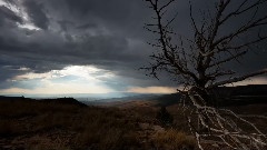 Wyoming Wildscapes