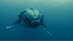 遥远的旅途