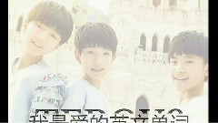 TFboys四叶草