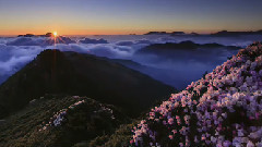 Request Of Yushan Mountain