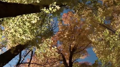 The Seasons - October