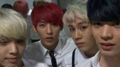 Show Champion Back Stage BTOB Cut