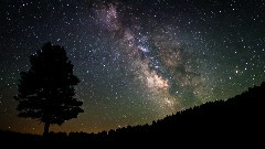 Wild Wyoming (A Summer of Sunsets)