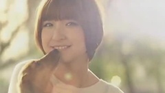 2010年-2011年 AKB48CM集