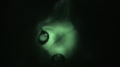 Ghost Eyes - Lost In The Woods