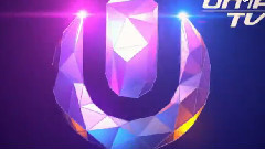 Ultra Music Festival 2013