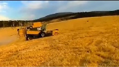 航拍收割小麦