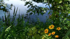 Memory Of Spring
