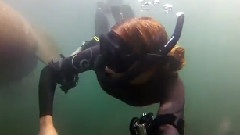 WetLab