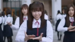 桜の栞