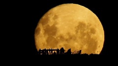 满月升起时(Full Moon Silhouettes)