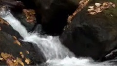 迷失在天堂