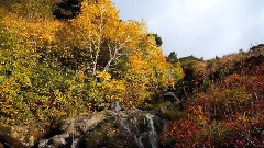 Autumn In Japan