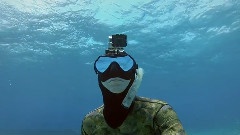 Dive Housing