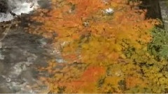 铁道田园之旅