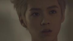 Wolf (狼与美女)