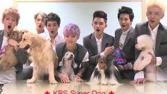 KBS Super Dog