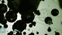 Megatron (Original Mix)