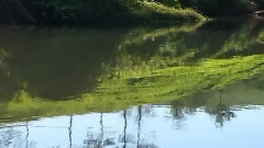 Relaxing Music Therapy
