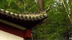 大美庐山