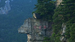 大美庐山