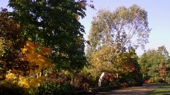 Colours of Autumn 2010