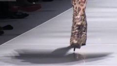 Top model
