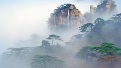 新高山流水