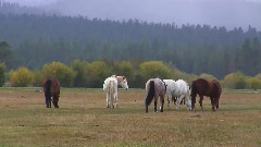 Black Butte Ranch