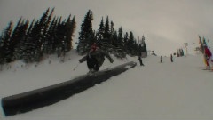 Matt Brindisi's Early Season