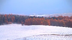Fresh Snow