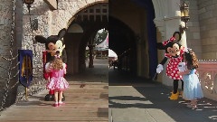 A Tale Of Two Disney Parks