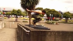 Palmy Parkour