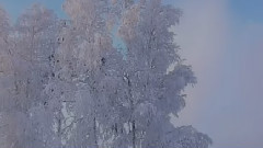 雪景