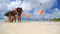 Aruba