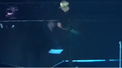 Lay Solo