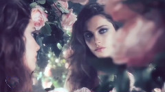 Blue Rose