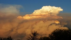 Station Fire Plume