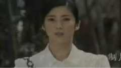 电视剧