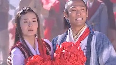 电视剧