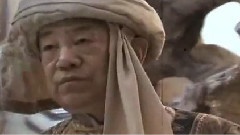 电视剧